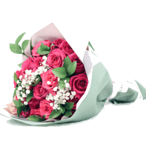  Pink Passion Rose Bouquet 