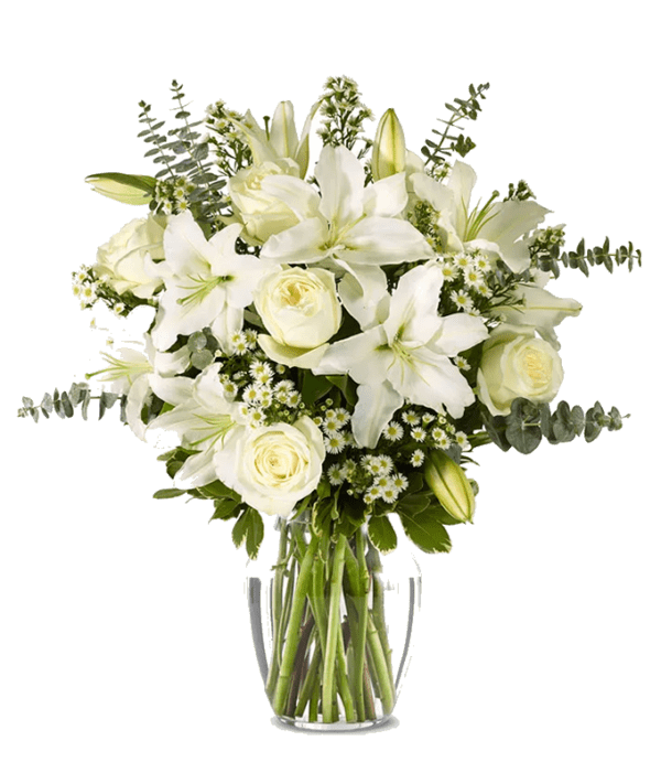 With All Our Sympathy