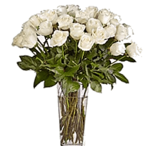 Long Stem White Rose Bouquet